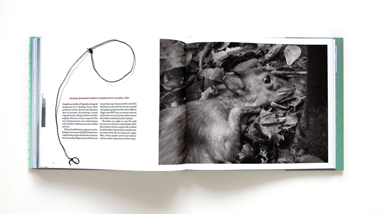 We Animals Book Design
